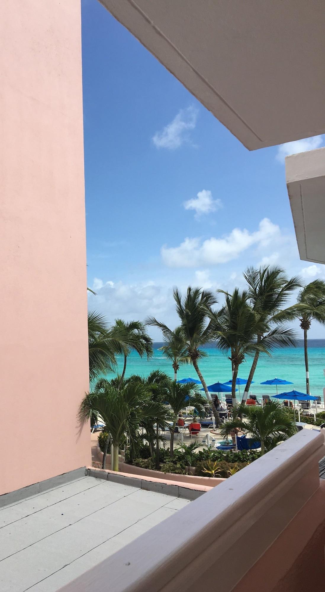 Butterfly Beach Hotel 크리스트 처치 외부 사진